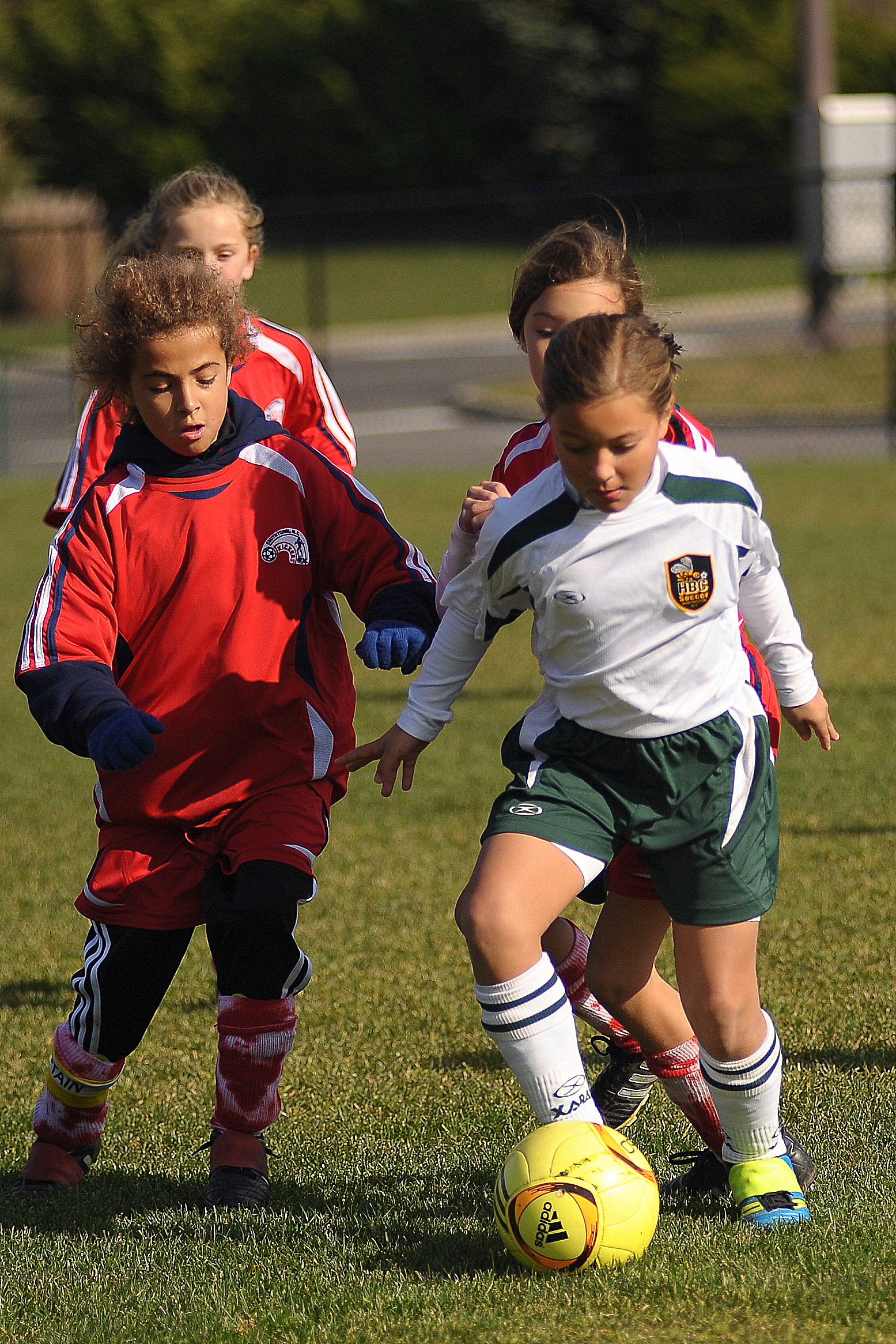 HBC INTRAMURAL INFORMATION FALL 2024